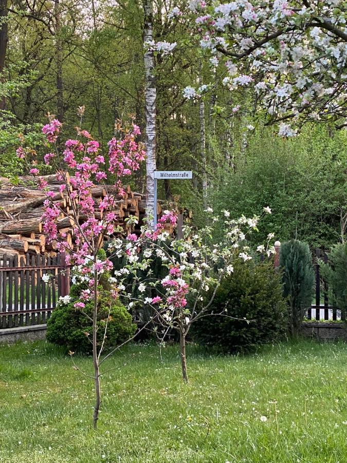 Am Wald
